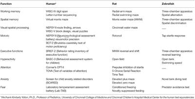 Translating Neurobehavioral Toxicity Across Species From Zebrafish to Rats to Humans: Implications for Risk Assessment